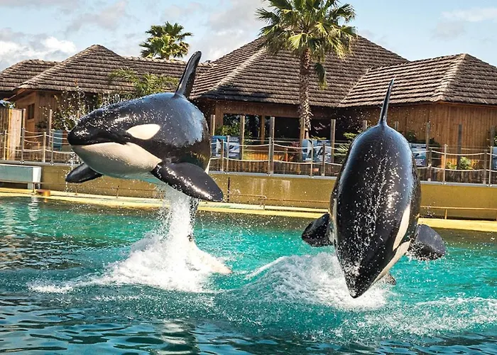 Marineland Sea View Апарт-отель Антиб