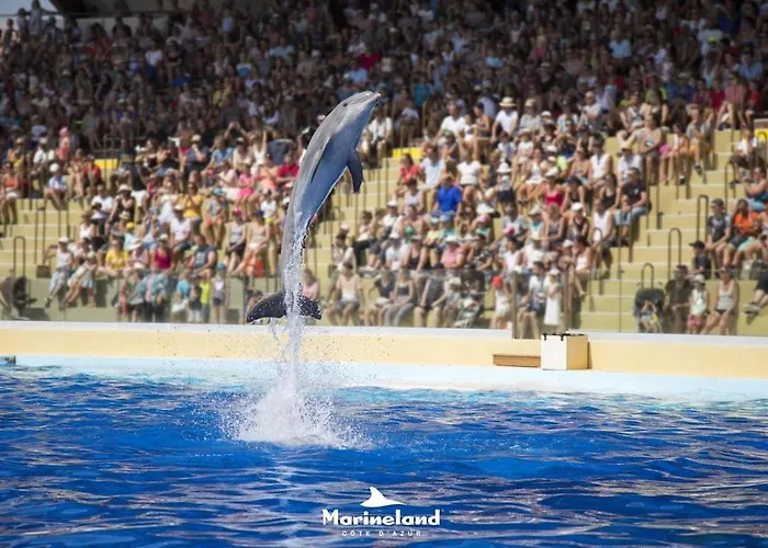 Marineland Sea View 4* Антиб